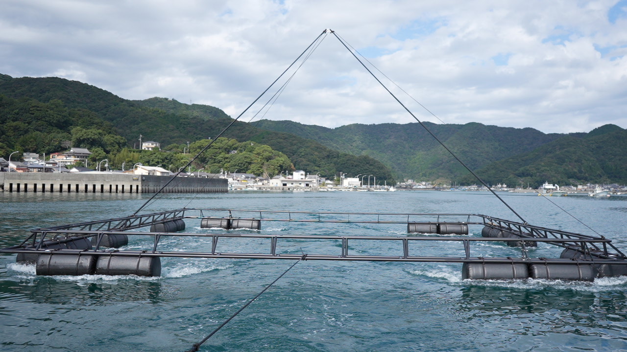 養殖いかだ