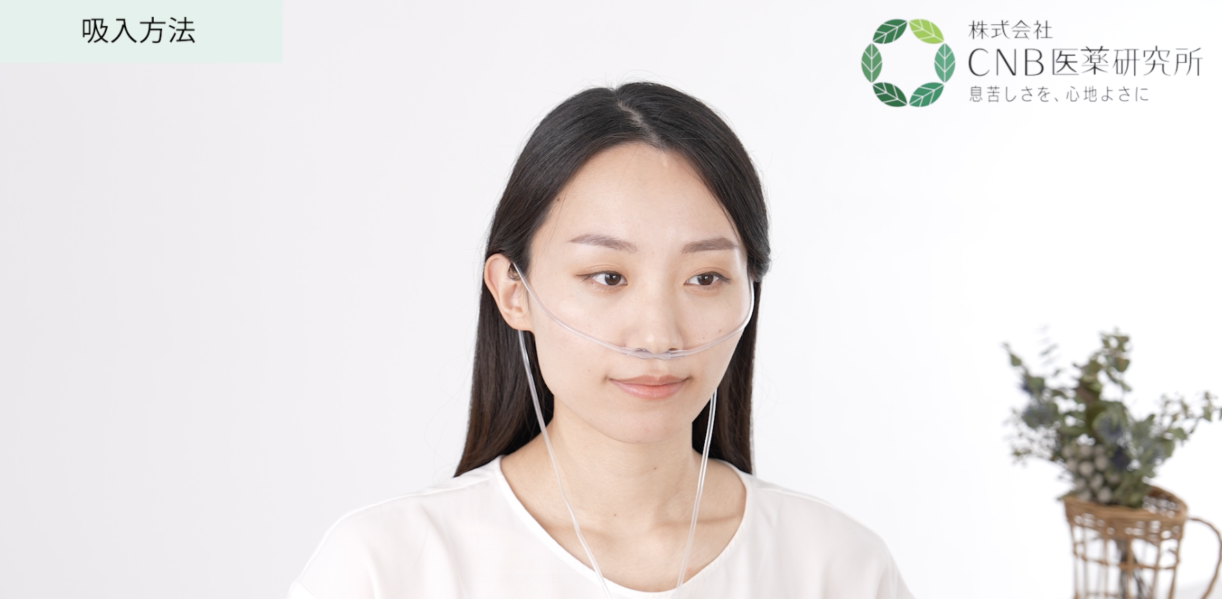 実績サムネイル